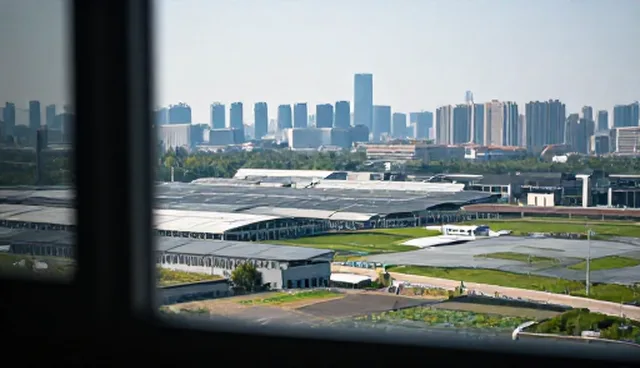 商务代理服务的适用边界:哪些情况下适合使用,哪些情况下受限